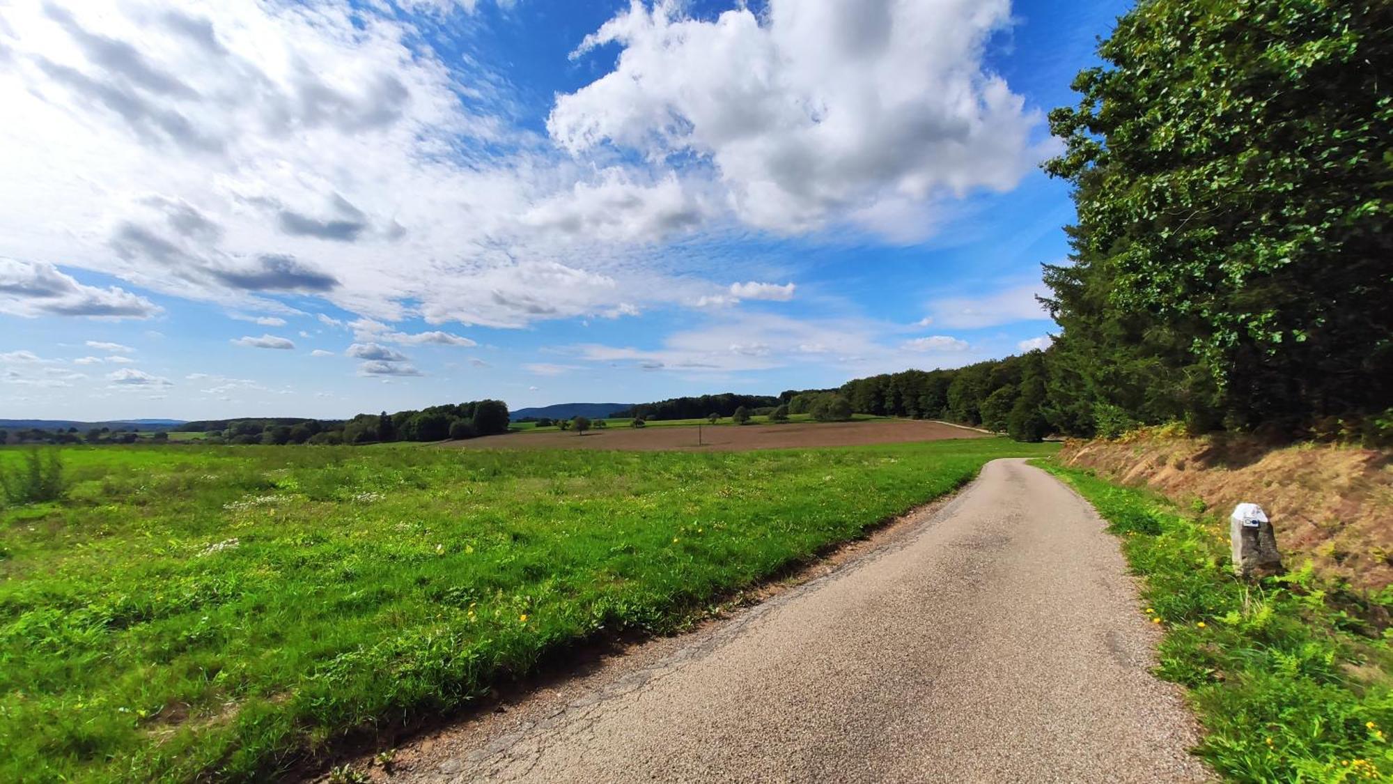 Spacieux Duplex Tout Confort A 200M Des Thermes De Bains-Les-Bains Dans Les Vosges Exteriör bild